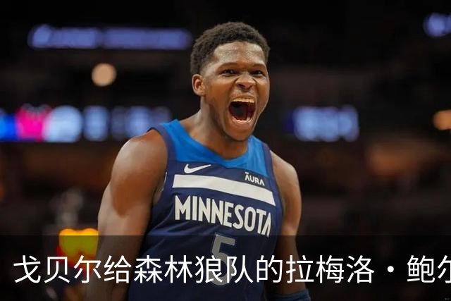 戈贝尔给森林狼队的拉梅洛·鲍尔的建议基本上是，让他冷静下来